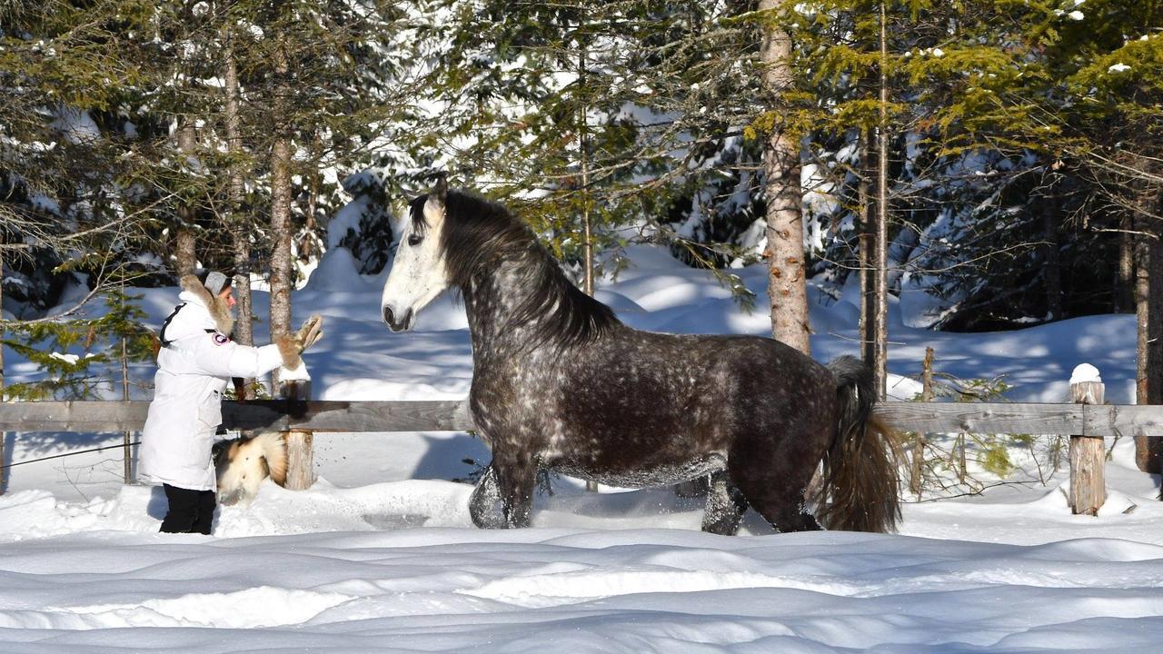 Вілла Le Ti Moose Ла-Мальбе Екстер'єр фото