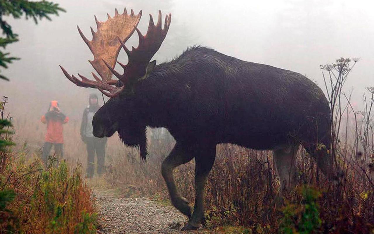 Вілла Le Ti Moose Ла-Мальбе Екстер'єр фото